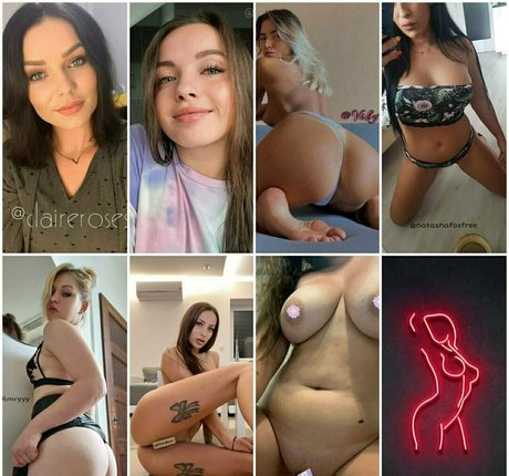 debrafox estrella bonita galerías