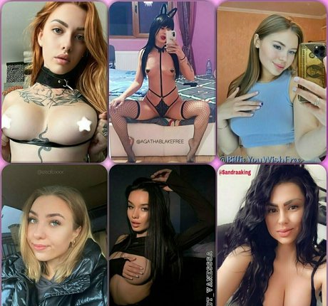 debrafox estrella de alta definición galería