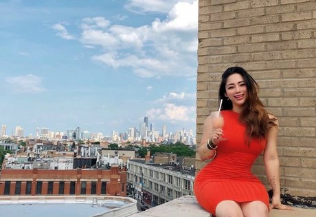 Dajinism étoile adulte collection