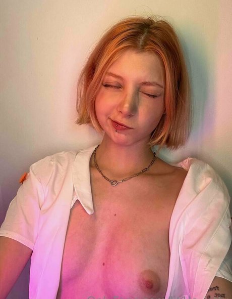 Lit1le Kitty_ pornographic star galleries