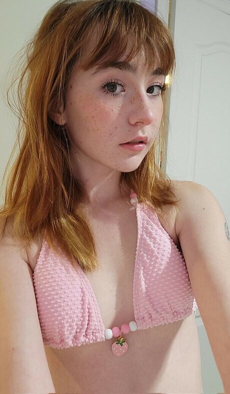 Sammynoodlesoup star hd galleries