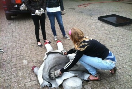 Onlyfans más pervertidos norte recopilación