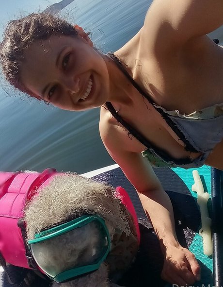 doitwithdaisy Imagen de perfil