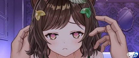 honda poko actrice parfaite collection