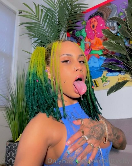 wetkittycity Miniature