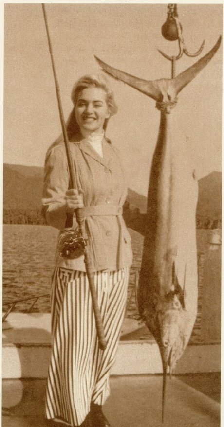 Kate Winslet estrella de alta definición imágenes