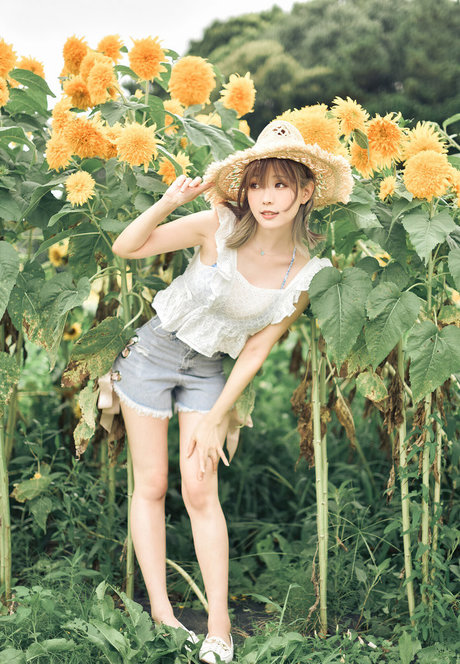 eeelyeee étoile gratuite img