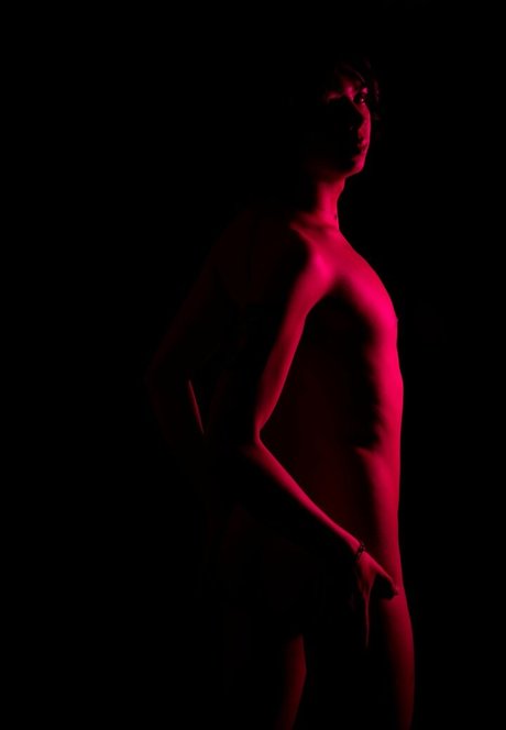 ticktimespirit art de star du porno collection