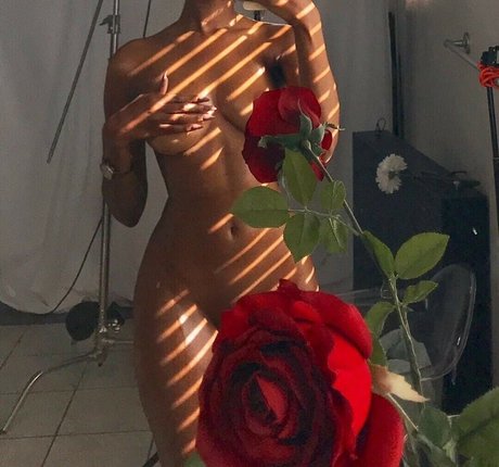 cebrena pornographic star galleries