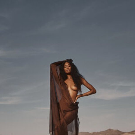 cebrena desnudos de estrellas porno galería