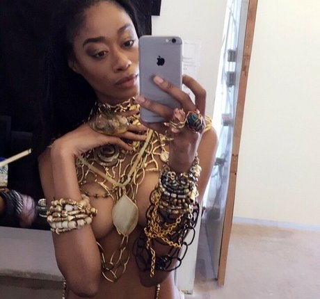 cebrena mejor modelo recopilación