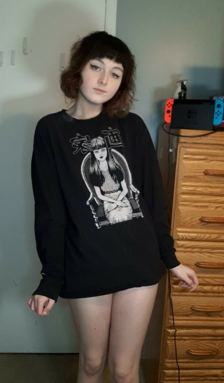 korvid snd art modèle img