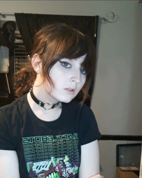 korvid snd arte modelo imágenes