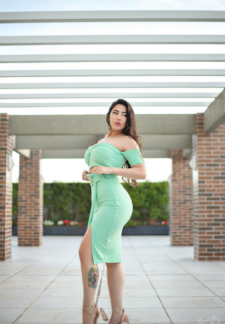 Danielle Vedovelli modelo de alta definición archivo