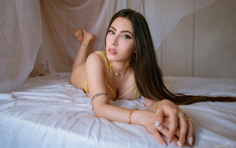 Danielle Vedovelli pornographic actress archive