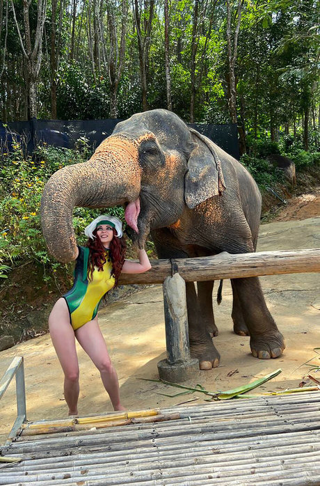 AGflower Cosplay star du porno xxx archive