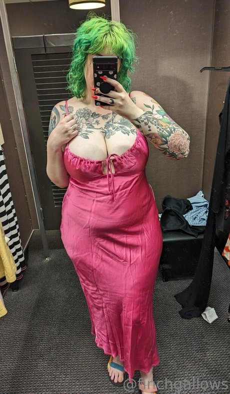 finchgallows Imagen de perfil