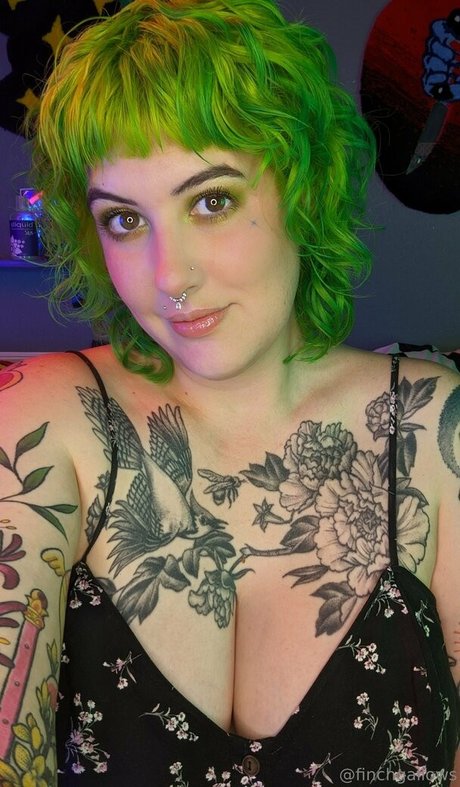 finchgallows Image de profil