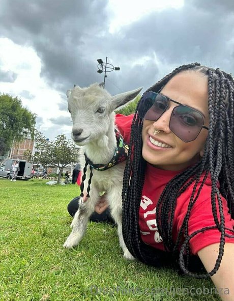 jencobriza modelo de arte galería