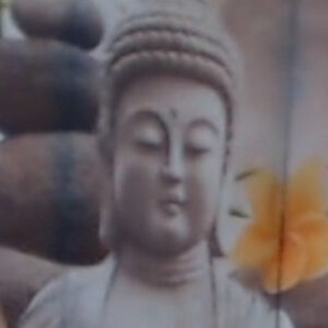 pruckute mannequin galeries