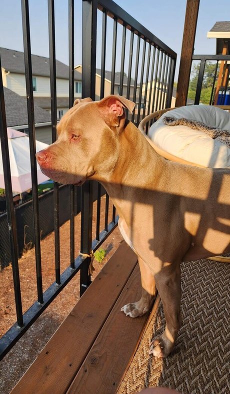 S and K actrice hd images