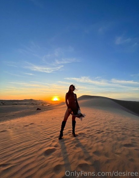 desiree xxx étoile galerie