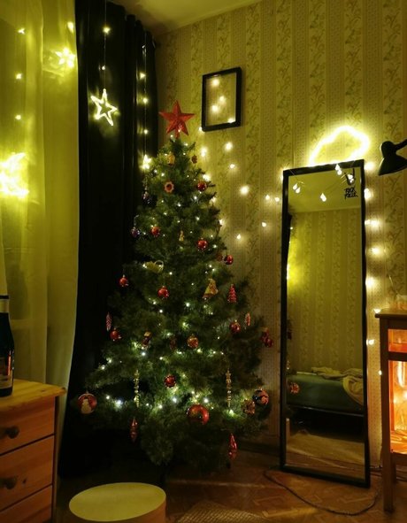 funsnail actriz libre archivo