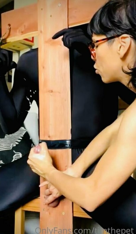 timthepet estrella pornografica recopilación