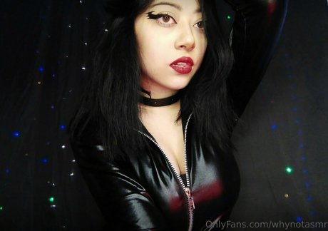 Whynot ASMR exclusive star picture