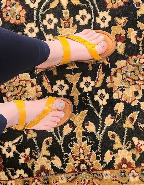 midweststacyfree estrella porno adulto imagen