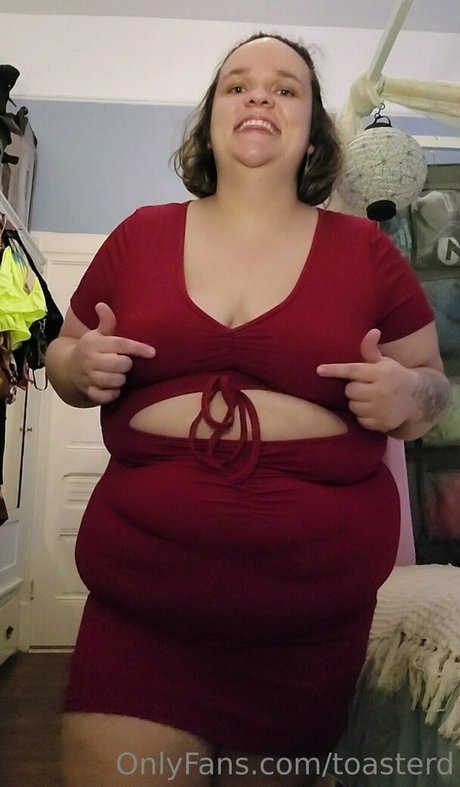 toasterd buen modelo recopilación