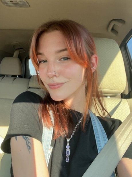 spaghettigorl meilleure star du porno collection