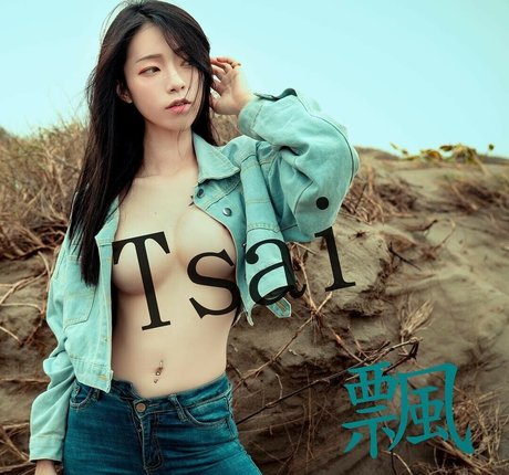 Tsai 919 model perfect archive