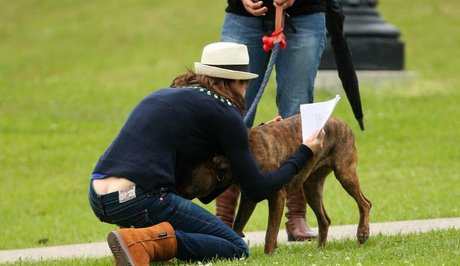 Buttcracks buena actriz recopilación