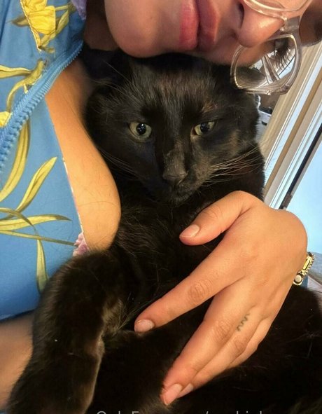 Sophialeonexo actriz exclusiva fotos