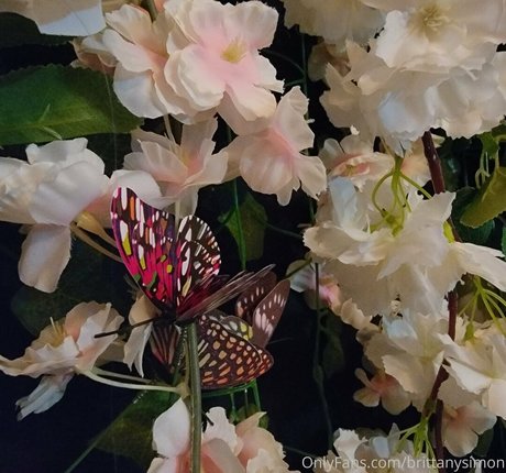 brittanysimon modelo hd imágenes