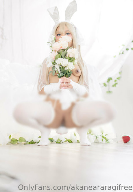 akaneararagifree modèle érotique image