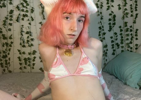 Bubblepinkelle estrella hermosa galerías