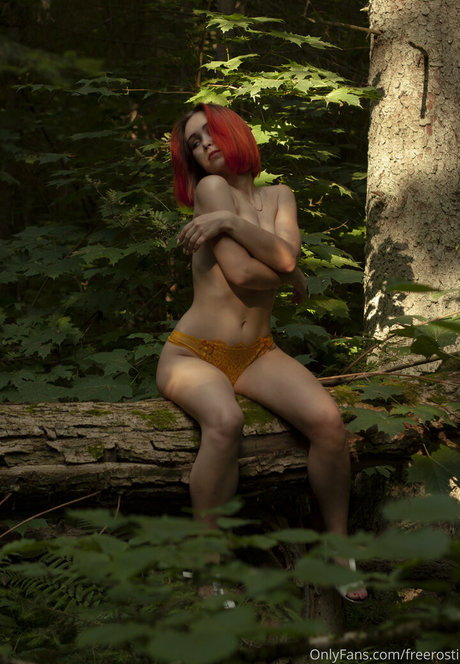 freerosti Image de profil