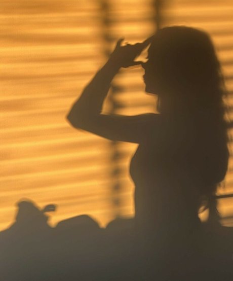 Paladinamber modelo fotos