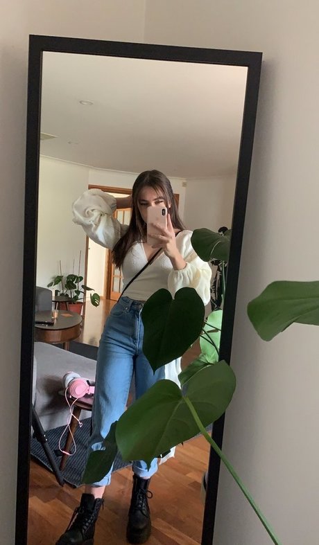 Paladinamber modèle joli image