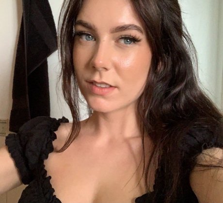 Paladinamber estrella perfecta galerías