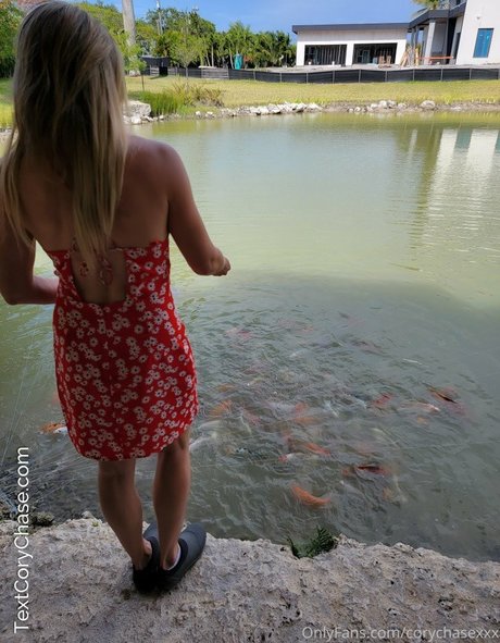 Cory Chase Imagen de perfil