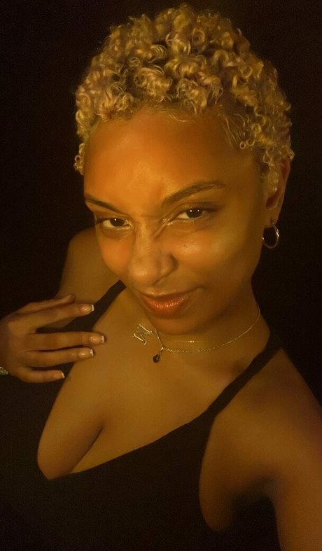 planterriah modelo bonita galería