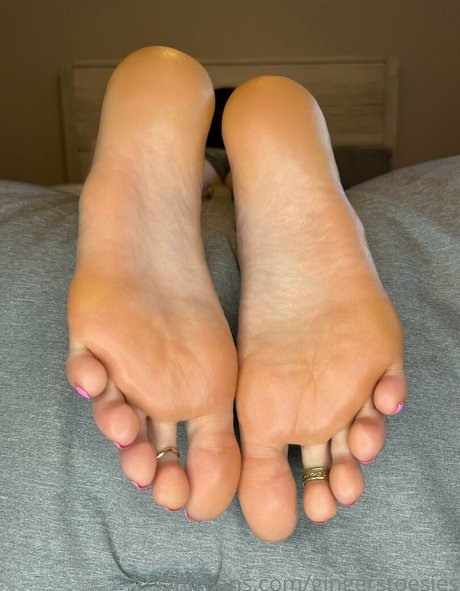 Gingerstoesies étoile hd img