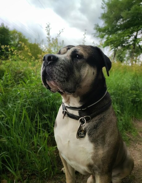 nidagonehot modelo de arte fotos