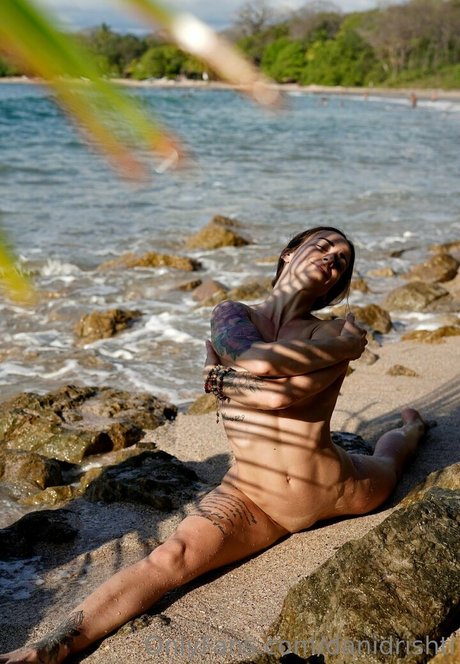 danidrishti art pornstar galleries