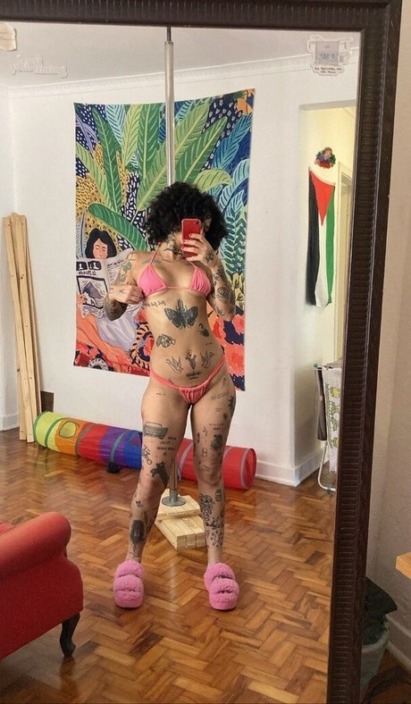 apropriad4mente art model picture