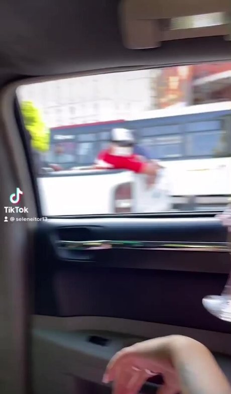 Seleneitor modelo hd galerías