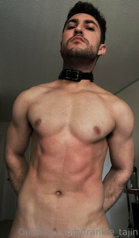 frankie tajin étoile adulte galeries